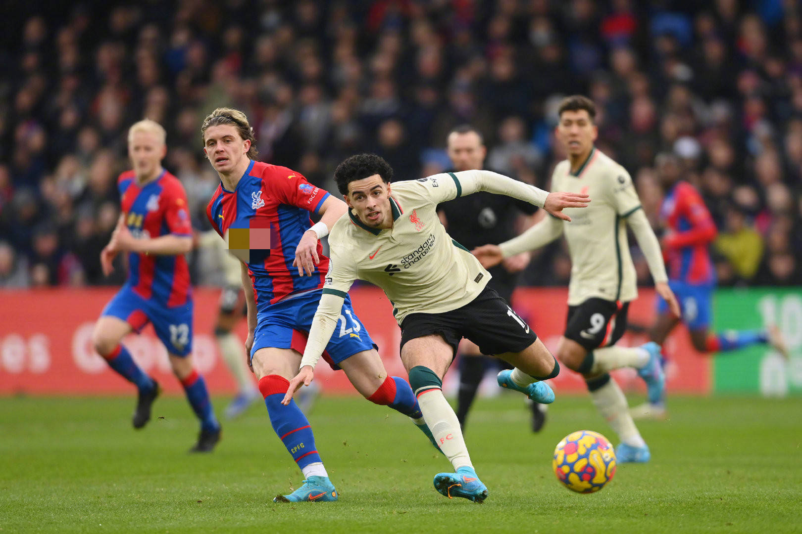 特别是在关 特别是在关