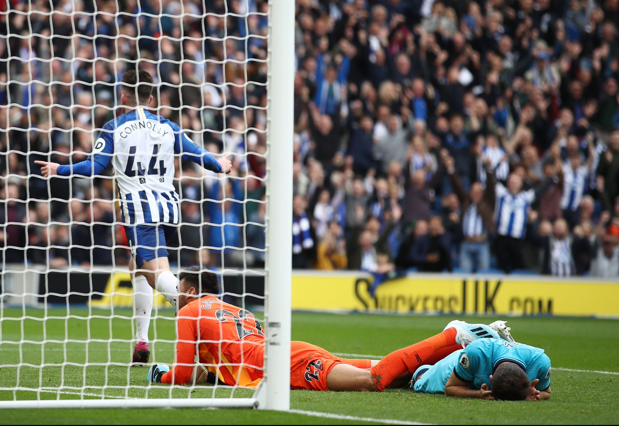 情与稳定的 情与稳定的